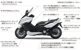 tmax_fmap.gif